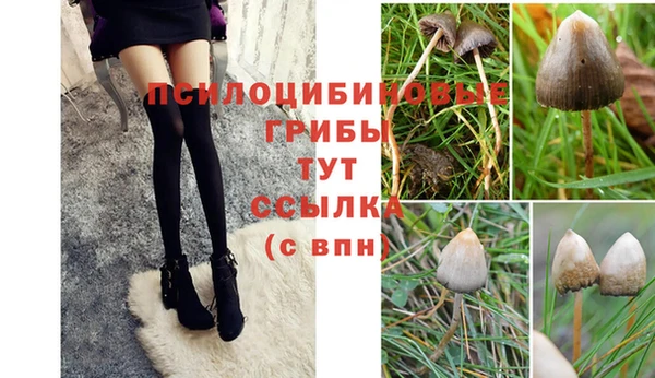 герыч Беломорск
