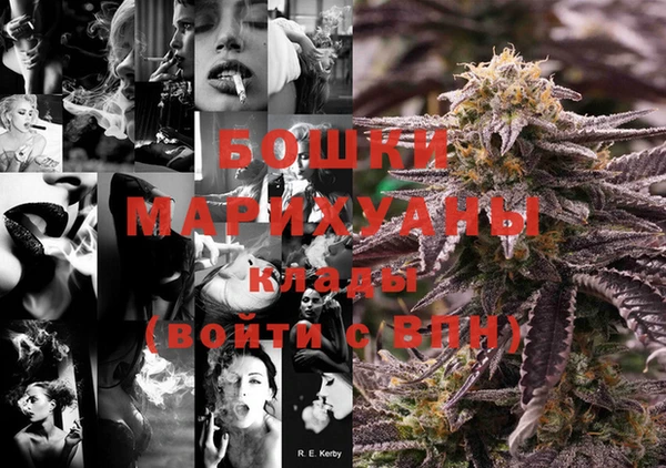 ГАЛЛЮЦИНОГЕННЫЕ ГРИБЫ Белокуриха