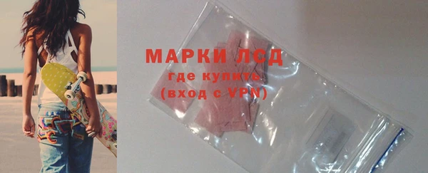 ГАЛЛЮЦИНОГЕННЫЕ ГРИБЫ Белокуриха