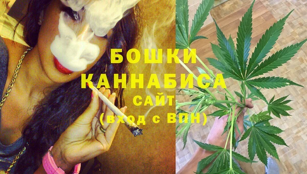 ГАЛЛЮЦИНОГЕННЫЕ ГРИБЫ Белокуриха