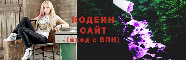 ГАЛЛЮЦИНОГЕННЫЕ ГРИБЫ Белокуриха