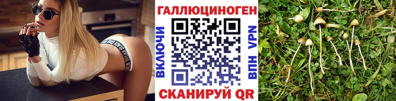 KRAKEN   дарк нет клад  Галлюциногенные грибы Psilocybe  Навашино 